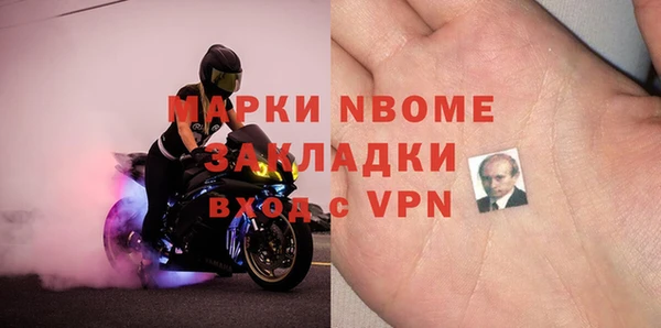 сатива Няндома
