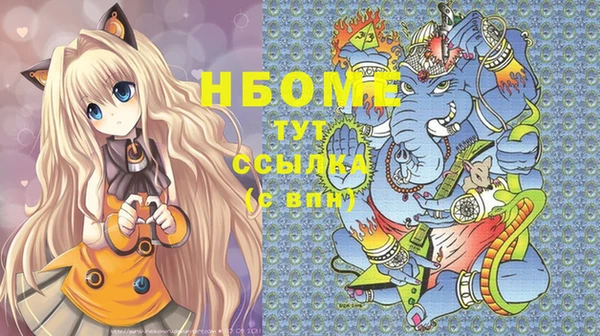 сатива Няндома