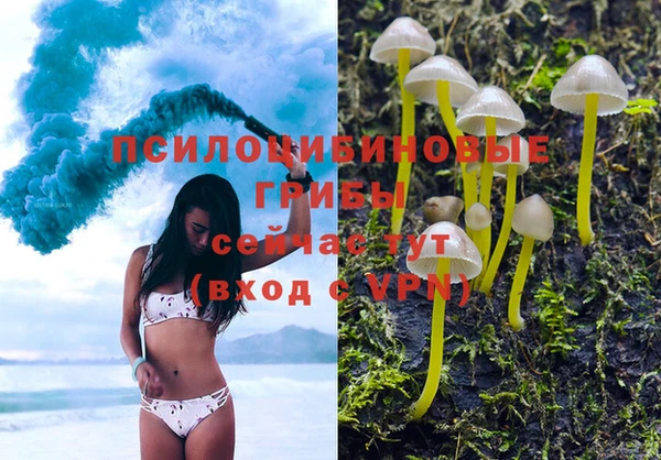 хмурый Нягань