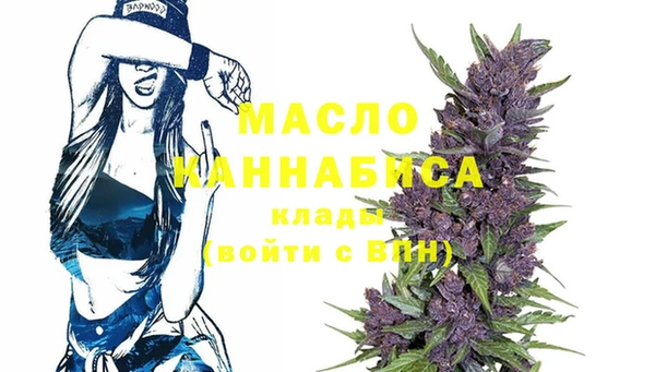 гидра Арсеньев