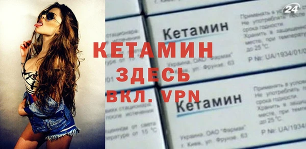 сатива Няндома
