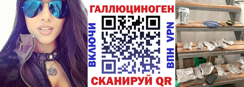 как найти   Энем  даркнет состав  Псилоцибиновые грибы мухоморы 